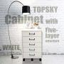 TOPSKY 5 Drawer Mobile Cabinet Fully Assembled Except Casters Built-in Handle (White)