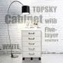 TOPSKY 5 Drawer Mobile Cabinet Fully Assembled Except Casters Built-in Handle (White) TOPSKY 5 Drawer Mobile Cabinet Fully Assembled Except Casters Built-in Handle (White)