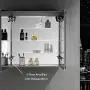 Blossom Recessed or Surface LED Mirror Medicine Cabinet w/Defogger, Dimmer, 3X Makeup Mirror, Outlets & USB (30x32/Zoom Mirror)