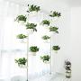 Indoor Plant Storage, FOME Metal Spring Double Pole Stand Corner Flower Display Rack Plant Storage Shelf Hanging Plant Stand Planter Rack Indoor with 12 Trays 2 Hooks 1 Telescopic Rod