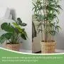 EAPFCT Plant Support Stake Half Round Metal Garden Plant Supports Ring Cage for Tomato Flowers Vine 6 Pack (9.8'' Wide x 15.6'' High)