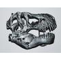 Dinosaur Skull Metal Belt Buckle T-Rex Tyrannosaurus for Fossil Lover!! #417 4o