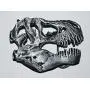 Dinosaur Skull Metal Belt Buckle T-Rex Tyrannosaurus for Fossil Lover!! #417 4o Dinosaur Skull Metal Belt Buckle T-Rex Tyrannosaurus for Fossil Lover!! #417 4o