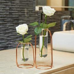 PuTwo Vases Set of 2 Metal Flower Vase Glass Vase Planter Terrariums Gold Vases Rose Gold Vase Plant Vase Glass Vases Cylinder Vase for Decor Valentines Day Gifts Girlfriend Valentines Gifts for Her