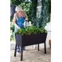 Keter Easy 31.7 Gallon Raised Garden Bed with Self Watering Planter Box and Drainage Plug-Perfect for Growing Fresh Vegetables, Flowers and Herbs, Graphite