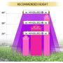 KingLED Reflector Series 1500W LED Grow Light Full Spectrum for Indoor Plants Veg and Flower