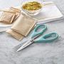KitchenAid All Purpose Shears with Protective Sheath, 8.72-Inch, Aqua Sky KitchenAid All Purpose Shears with Protective Sheath, 8.72-Inch, Aqua Sky