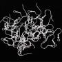925 Sterling Silver Earring Hooks Hypoallergenic French Wire Hooks Fish Hook Earrings Jewelry Findings Parts DIY Making 40pcs