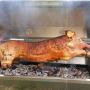 TITAN GREAT OUTDOORS BBQ Rotisserie Grill w/Roaster Spit and Glass Hood, 125 lbs.