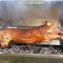 TITAN GREAT OUTDOORS BBQ Rotisserie Grill w/Roaster Spit and Glass Hood, 125 lbs. TITAN GREAT OUTDOORS BBQ Rotisserie Grill w/Roaster Spit and Glass Hood, 125 lbs.