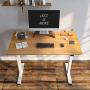 Flexispot Standing Desk Height Adjustable Desk Electric Sit Stand Desk 48 x 24 Inches Home Office Desks (White Frame + Maple Top)