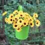 6.1'' x 4.5'' x 5.7'' Large 3 PCS Iron Hanging Flower Pots Balcony Garden Plant Planter, Wall Hanging Metal Bucket Flower Holders