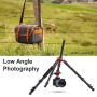 K&F Concept SA254M1 62 DSLR Camera Tripod Lightweight and Compact Aluminum Detachable Monopod Tripod with 360 Panorama Ball Head Quick Release Plate for Travel and Work