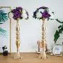Sziqiqi Metal Centerpiece Vase Flower Centerpiece Holder Riser Stand Tall Candle Holder for Pillar 2Pcs for Wedding Centerpiece Flower Arrangement Birthday Anniversary Party Decoration, Gold 19.7in Sziqiqi Metal Centerpiece Vase Flower Centerpiece Holder Riser Stand Tall Candle Holder for Pillar 2Pcs for Wedding Centerpiece Flower Arrangement Birthday Anniversary Party Decoration, Gold 19.7in