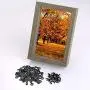 100 Pieces Frame Picture Turn Button and 100 Pieces Screws for Hanging Pictures, Photos, Drawing (Black) 100 Pieces Frame Picture Turn Button and 100 Pieces Screws for Hanging Pictures, Photos, Drawing (Black)
