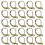 TOAOB 200pcs Brass Lever Back Earring Hooks Hypoallergenic French Dangle Earwires with Open Loop 10x15mm Antique Bronze Earrings Component Findings for Jewelry Making