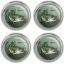 Bass Fish Swimming in River Metal Craft Sewing Novelty Buttons - Set of 4