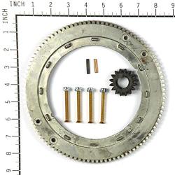 Briggs & Stratton 696537 Ring Gear Replacement for Models 399676 and 392134