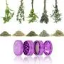 DCOU New Design Premium Aluminium Herb Grinder 2.2 Inches 4 Piece Metal Grinder with Pollen Catcher with Carved Flower DCOU New Design Premium Aluminium Herb Grinder 2.2 Inches 4 Piece Metal Grinder with Pollen Catcher with Carved Flower