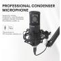 USB Microphone 25mm Large Diaphragm MAONO AU-PM430 Condenser PC Cardioid Mic with Professional Sound Chipset for Studio/Home Recording, Podcast, Gaming, Streaming, YouTube, Chatting