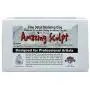 Amazing Sculpt 1 lb White 2-Part Modeling Clay for Sculptors. USA Made. Amazing Sculpt 1 lb White 2-Part Modeling Clay for Sculptors. USA Made.