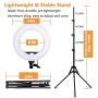Kshioe 14 Dimmable Led Ring Light, Continuous Lighting Kit Photography Photo Studio Light for Makeup, Camera Smartphone YouTube Video Shooting
