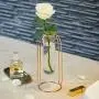 PuTwo Vases Set of 2 Metal Flower Vase Glass Vase Planter Terrariums Gold Vases Rose Gold Vase Plant Vase Glass Vases Cylinder Vase for Decor Valentines Day Gifts Girlfriend Valentines Gifts for Her PuTwo Vases Set of 2 Metal Flower Vase Glass Vase Planter Terrariums Gold Vases Rose Gold Vase Plant Vase Glass Vases Cylinder Vase for Decor Valentines Day Gifts Girlfriend Valentines Gifts for Her