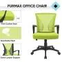 Furmax Office Chair Mid Back Swivel Lumbar Support Desk Chair, Computer Ergonomic Mesh Chair with Armrest (Cyan) Furmax Office Chair Mid Back Swivel Lumbar Support Desk Chair, Computer Ergonomic Mesh Chair with Armrest (Cyan)