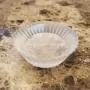 Clear Casting and Coating Epoxy Resin - 1 Gallon Kit Clear Casting and Coating Epoxy Resin - 1 Gallon Kit