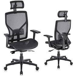 SUNNOW Ergonomic Office Chair Computer Mesh Chair with Adjustable Lumbar Support, Sliding Seat, Headrest, 3D Armrest-High Back Swivel Task Executive Chair for Home Office