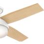 Hunter Dempsey Indoor Low Profile Ceiling Fan with LED Light and Remote Control, 44'', White