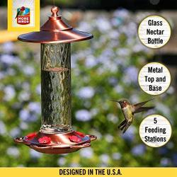 More Birds Glory Hummingbird Feeder, Glass Bottle, 5 Feeding Ports and 14-Ounce Nectar Capacity