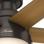 Hunter Fan Company 59268 Hunter Anslee Indoor Low Profile Ceiling Fan with LED Light and Pull Chain Control, 46'', Premier Bronze