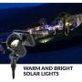 Best Solar Light SOLARLIGHTM-2 LED Spotlight | High Performance 100 Lumens Warm 3000K | Weatherproof Metal Construction |, 2-Pack, Black, 2 Piece