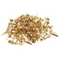 Royee 100 Pcs Mini Brads Fasteners Metal Plated Round Paper Fasteners Brass Pastel for Paper Craft Scrapbooking DIY Art Handmade Project Decorative Supplies (Gold)