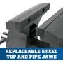 Wilton 21800 748A 8-Inch Jaw Width by 8-1/4-Inch Opening Mechanics Vise Wilton 21800 748A 8-Inch Jaw Width by 8-1/4-Inch Opening Mechanics Vise