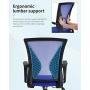 Home Office Chair Mid Back PC Swivel Lumbar Support Adjustable Desk Task Computer Ergonomic Comfortable Mesh Chair with Armrest (Blue)