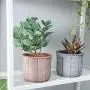 DOMDO Cement Planter Pot - 5.5 Inch Indoor Concrete Planters Bonsai Container with Drainage Hole for Home Decor, Iron-Imitation Patterned, Terracotta DOMDO Cement Planter Pot - 5.5 Inch Indoor Concrete Planters Bonsai Container with Drainage Hole for Home Decor, Iron-Imitation Patterned, Terracotta