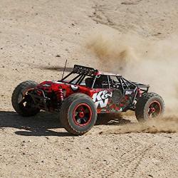 Losi K&N DBXL: 1/5 4wd Buggy RTR, LOS05010