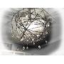 Light Duty 4 Pt Real Barbed Wire - 18 Gauge 4 Point - (50 Feet) for Crafts and Yard - Made in USA