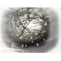 Light Duty 4 Pt Real Barbed Wire - 18 Gauge 4 Point - (50 Feet) for Crafts and Yard - Made in USA