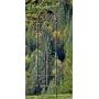 H Potter Garden Trellis for Climbing Plants Iron Metal Outdoor Scroll Wall Decor or Flowers Roses Vine Ivy Clematis GAR214 Large