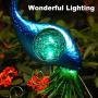 CHINLY Garden Decorations Outdoor, Metal Peacock Decor Solar Garden Lights Stake Waterproof for Patio Yard Pathway (Crystal Lampshade)