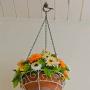 Jetec Metal Cup Hooks Dropped Ceiling Hooks Suspended Ceiling Hooks Screw Loop Hooks Christmas Light Hooks