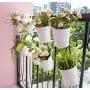 Dahey 8 Pcs Hanging Flower Pots Metal Iron Bucket Planter for Railing Fence Balcony Garden Home Decoration Flower Holders with Detachable Hooks, White, 4 Inches Dahey 8 Pcs Hanging Flower Pots Metal Iron Bucket Planter for Railing Fence Balcony Garden Home Decoration Flower Holders with Detachable Hooks, White, 4 Inches