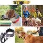 Swivel Lobster Clasps Clips Lanyard Snap Hook and Slide Buckles and Metal D Ring Semi-Circular D Ring for Handbag Bags Cat Dog Collar Buckles Ring Hand DIY Accessories Dog Leash Hardware Craft