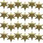 WILLBOND 24 Pieces Metal Sheriff Badge Bronze Western Cowboy Badge Deputy Sheriffs Toy Badges for Halloween and Party Favors Costume Prop(24 Pieces)