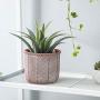 DOMDO Cement Planter Pot - 5.5 Inch Indoor Concrete Planters Bonsai Container with Drainage Hole for Home Decor, Iron-Imitation Patterned, Terracotta