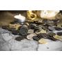 Metal Pirate Coins - 200 Gold and Silver Spanish Doubloon Replicas - Fantasy Metal Coin Pirate Treasure - Gold, Silver, Antique and Rustic Style Finishes by Beverly Oaks