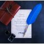 KenTaur Calligraphy Quill Pen Set (CS-0206) - Dip Pen with Blue Turkey Feather, 6 Stainless Steel Nib, and European Ink. Great for Beginner/Enthusiast KenTaur Calligraphy Quill Pen Set (CS-0206) - Dip Pen with Blue Turkey Feather, 6 Stainless Steel Nib, and European Ink. Great for Beginner/Enthusiast